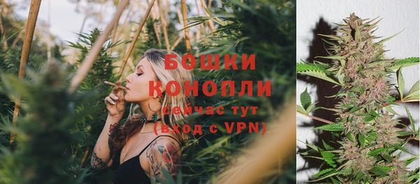 кокаин Белокуриха