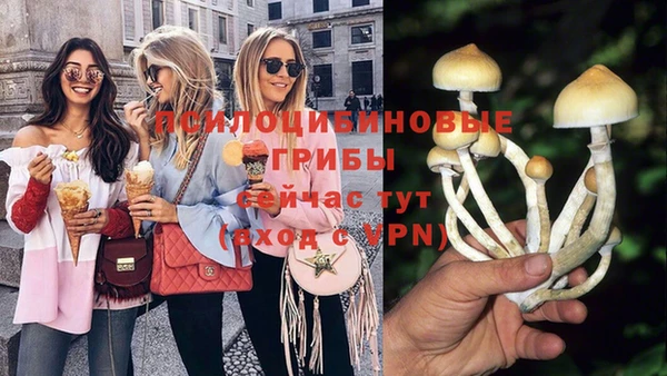 кокаин Белокуриха